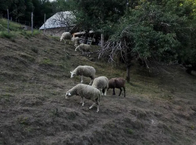 بيت للعطل Getaway 